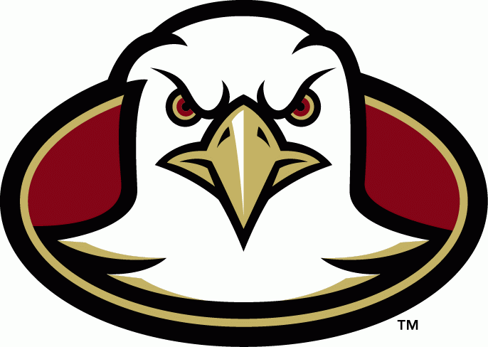 Boston College Eagles 2001-2004 Alternate Logo diy DTF decal sticker